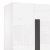 Шкаф Вива Элеганте Белый глянец / чёрный матовый купить в Москве — цена ...